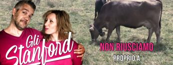 gli stanford ASIAGO FB Copy 3